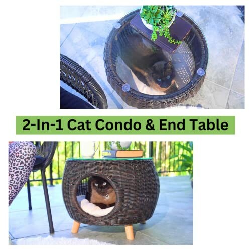 Cat sitting in a wicker 2-in-1 cat condo and end table.