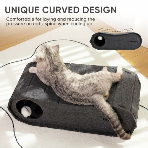 Cat lying on a unique curved design bed.