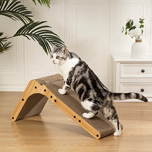 Cat using a wooden scratching ramp in a room.