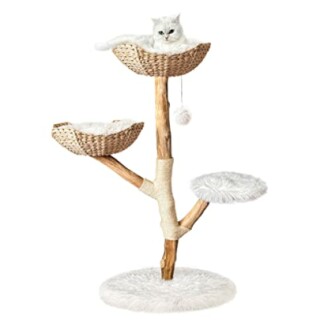 Modern Cat Tree Tower