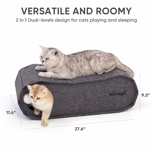 Two cats on a gray dual-level cat bed, one inside and one on top.