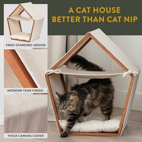 Cat inside a modern wooden and canvas cat house with cushion.