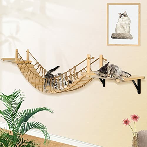 Cats lounging on a wall-mounted hammock and shelf.